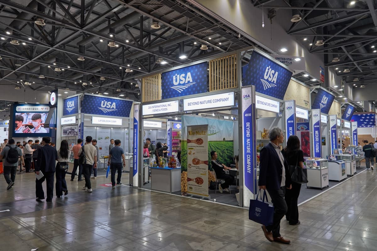 China International Industry Fair 2024 - industrial exhibition reference photo